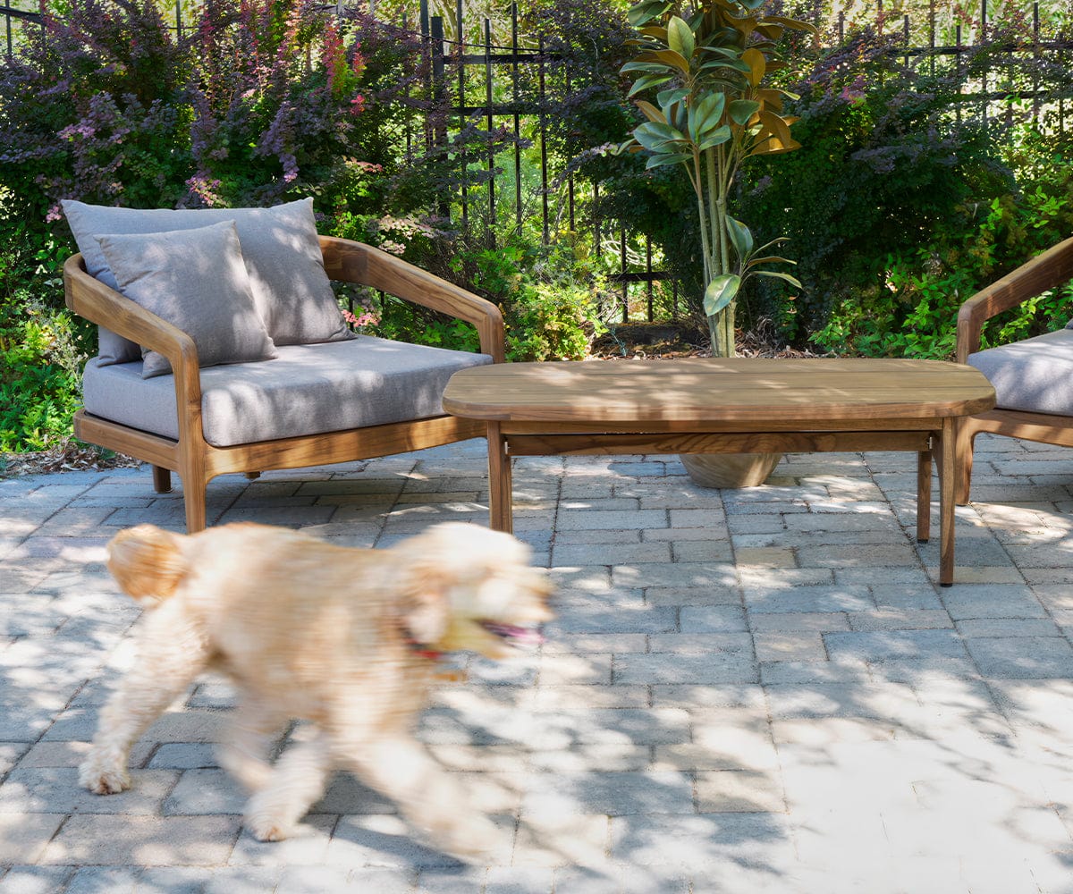 Amar Teak Lounge Chair - Image 3