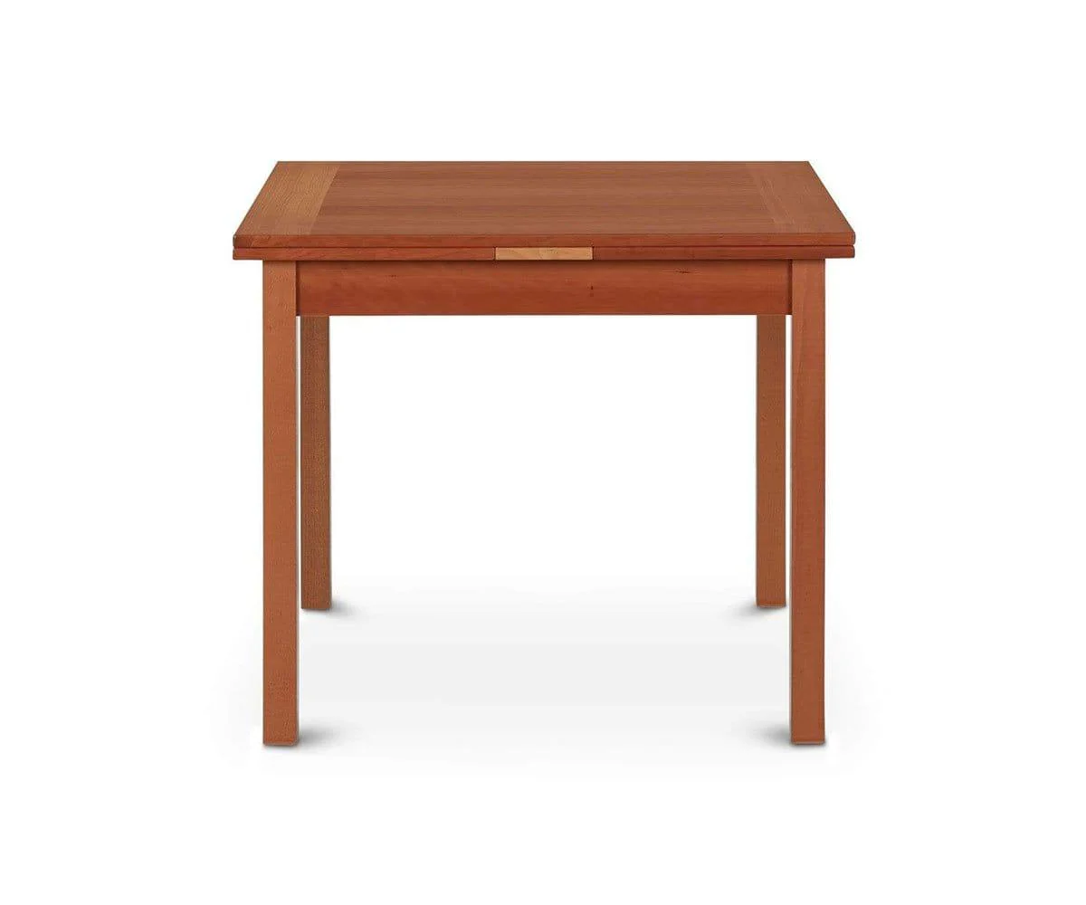 Dinex Beta Extension Table - Image 5