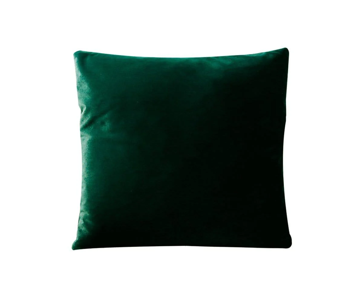 Joei Velvet Pillow - Image 41