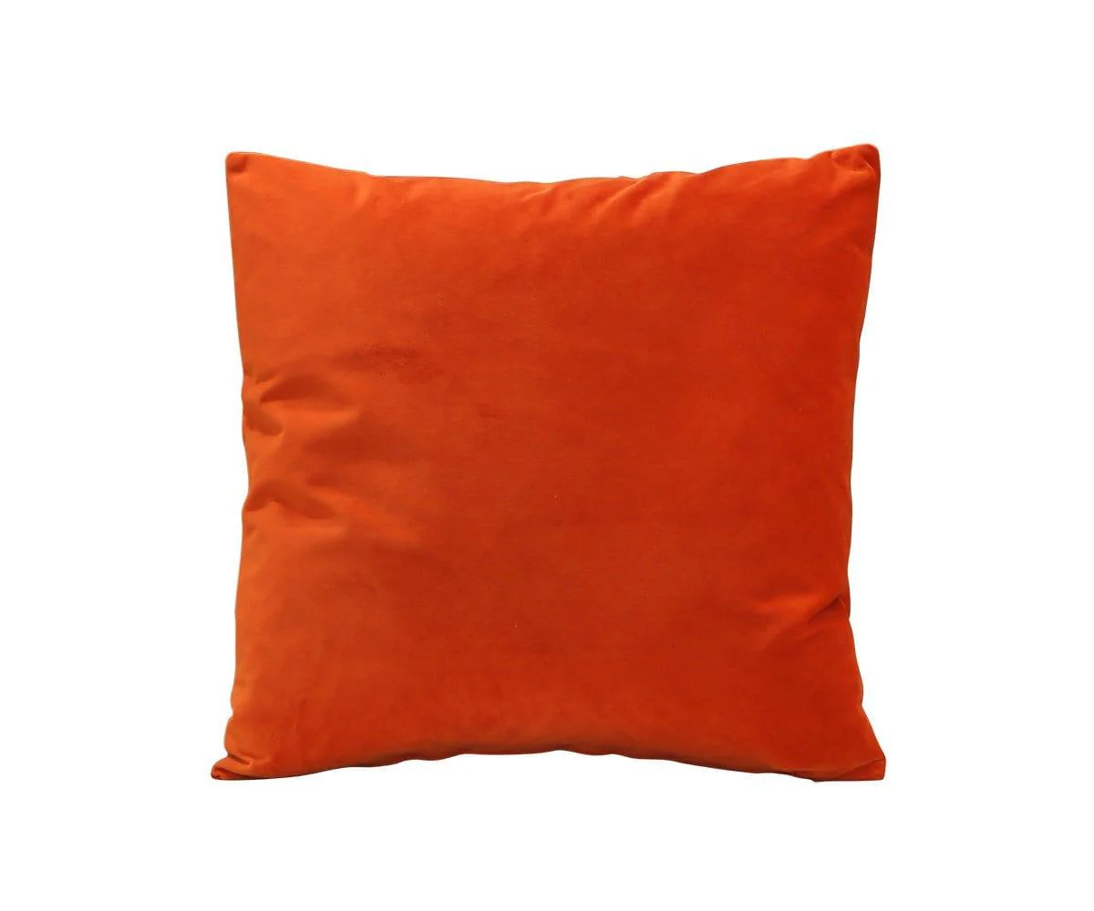 Joei Velvet Pillow - Image 47