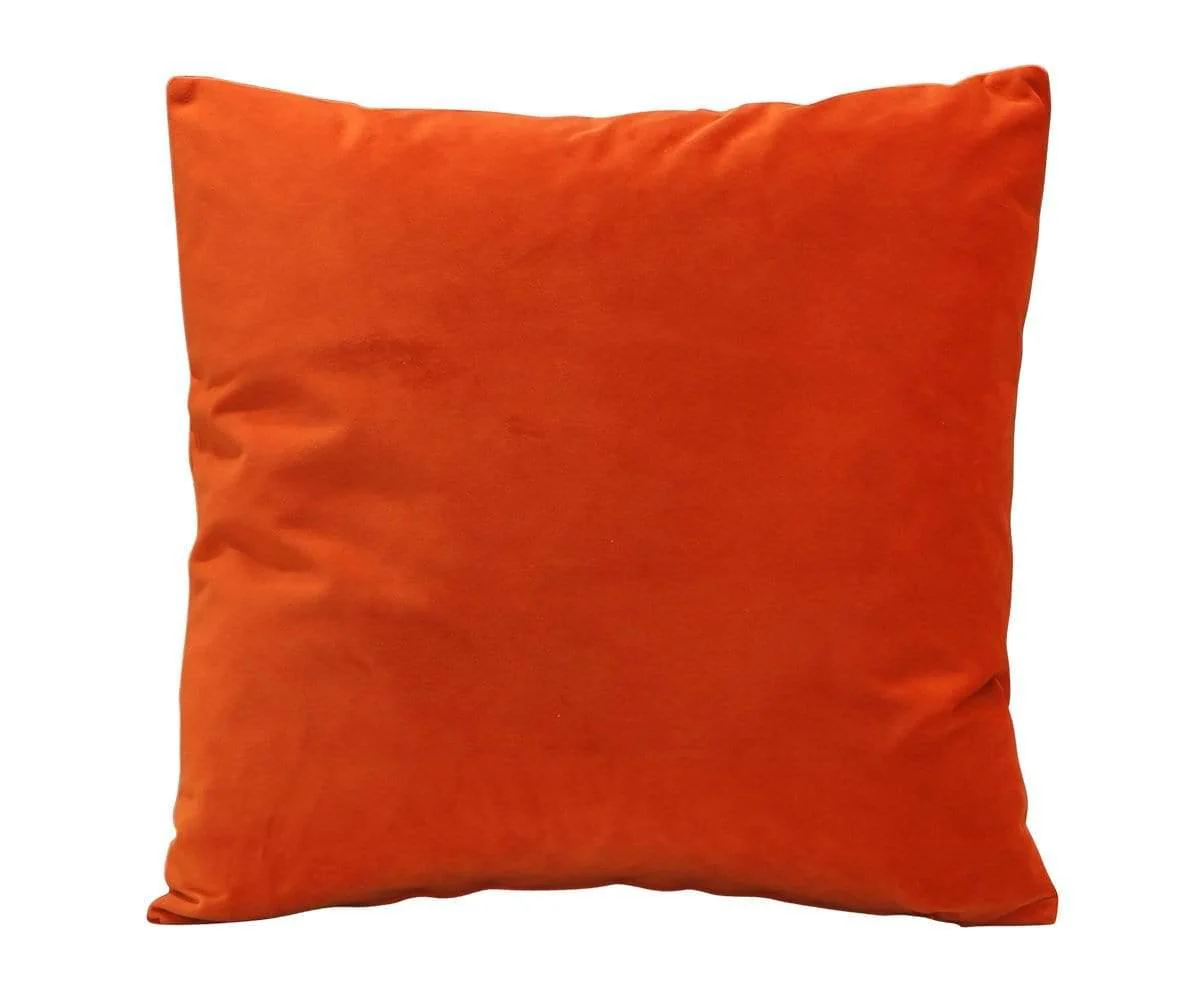Joei Velvet Pillow - Image 48