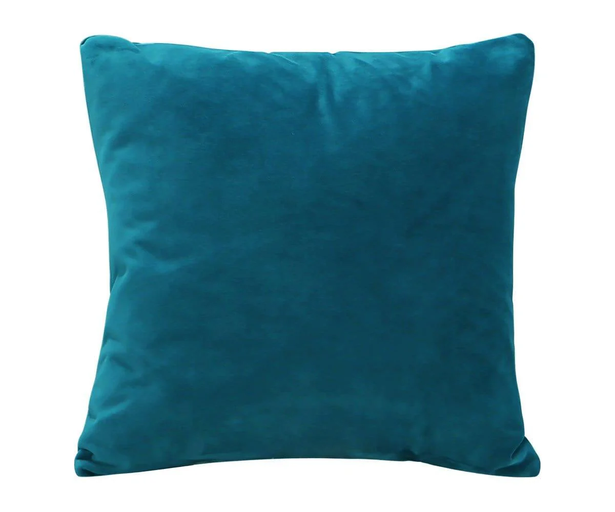 Joei Velvet Pillow - Image 54