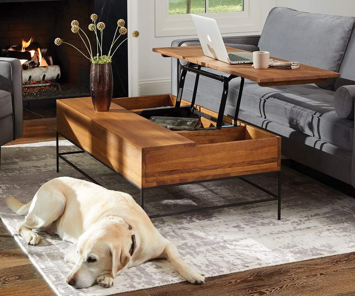 Leende Lift Top Storage Coffee Table - Image 5